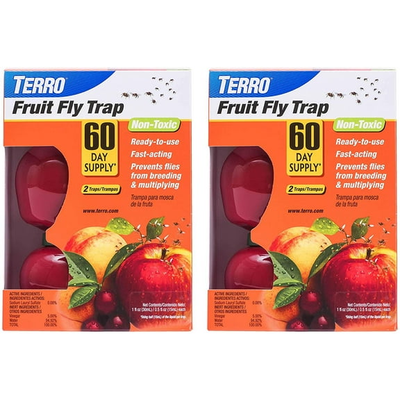 Terro T2503SR Fruit Fly Trap - 4 traps