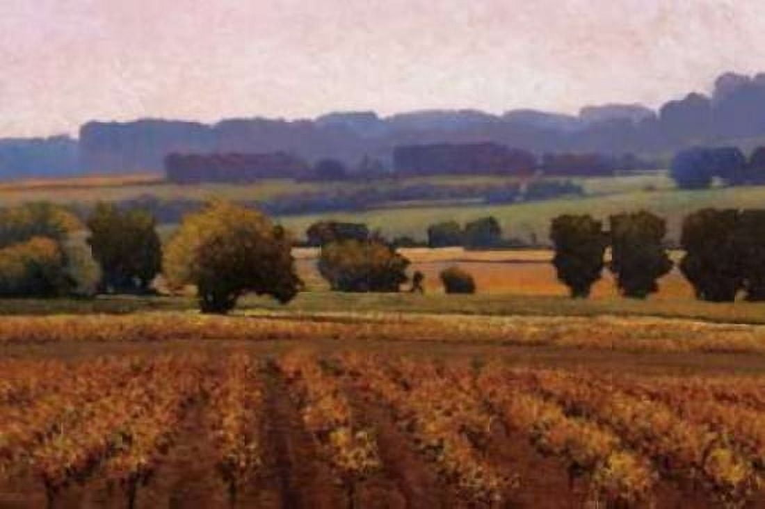 Terroir Canvas Art - Kent Lovelace (24 x 36)