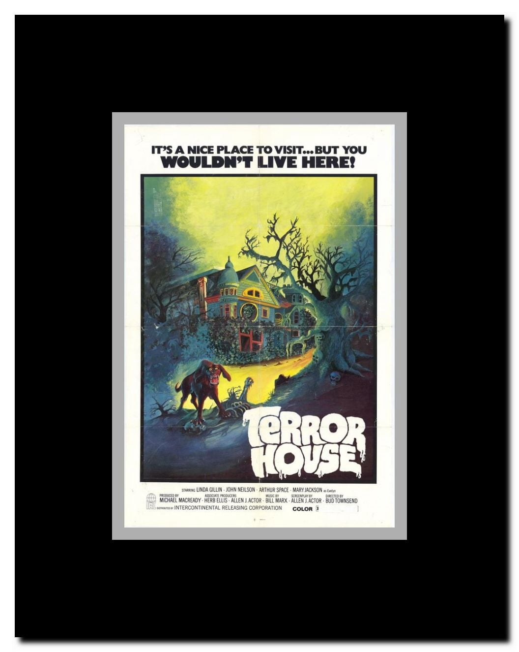 Terror House Framed Movie Poster