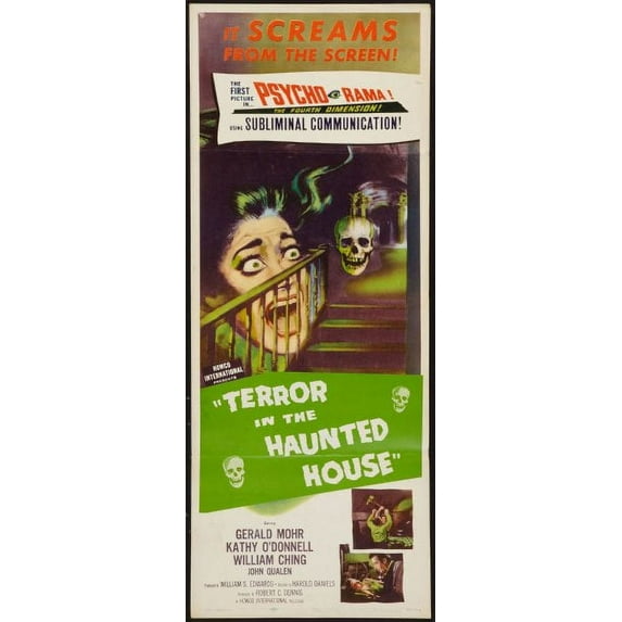Terror In The Haunted House 14x36 Insert Movie Poster Multi-Color Square Adults Best Posters