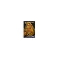 thumbnail image 1 of Pre-Owned Terror in Hawk's Village (Time Stone Travelers Series) Paperback, 1 of 1