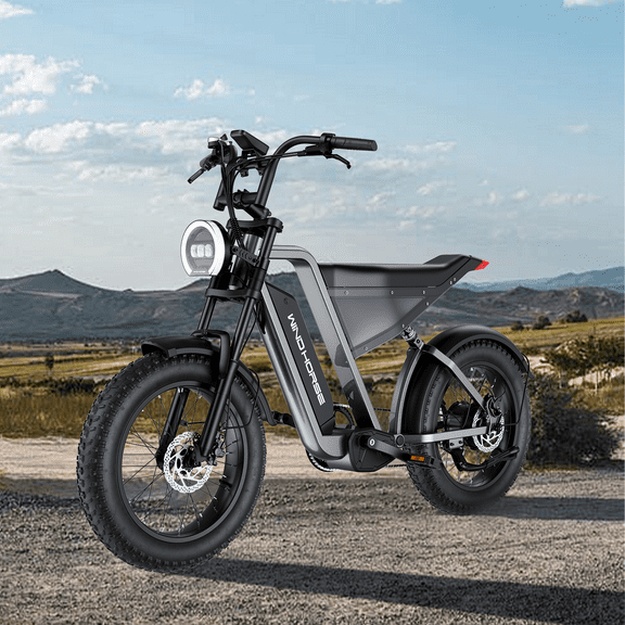 Terrosor 1000W 48V Electric Bike -20" All-Terrain E-Bike w/ 60-Mile Range, 20 MPH, Hydraulic Brakes & App Control