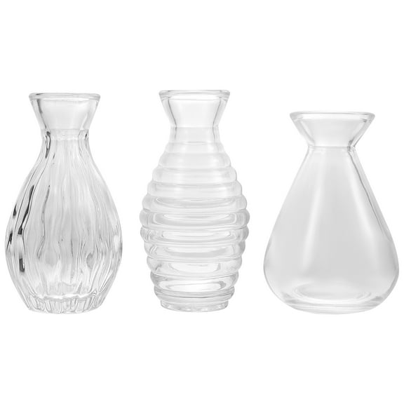 Tersarium 3Pcs Diffuser Bottles Transparent Aromatherapy Jar Empty Glass Bottle Mini Vase (Mixed Style)