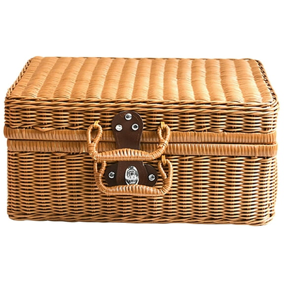 Tersarium Simulated Rattan Woven Suitcase Retro Storage Box Handwoven Storage Case