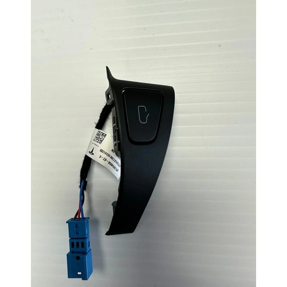 Tesla Model 3, Y Power Door Lock Open Switch with Trim, Rear Left, 2021-2024