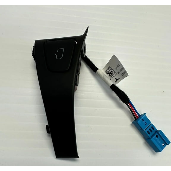 Tesla Model 3, Y Power Door Lock Open Switch with Trim, Rear Right, 2021-2024