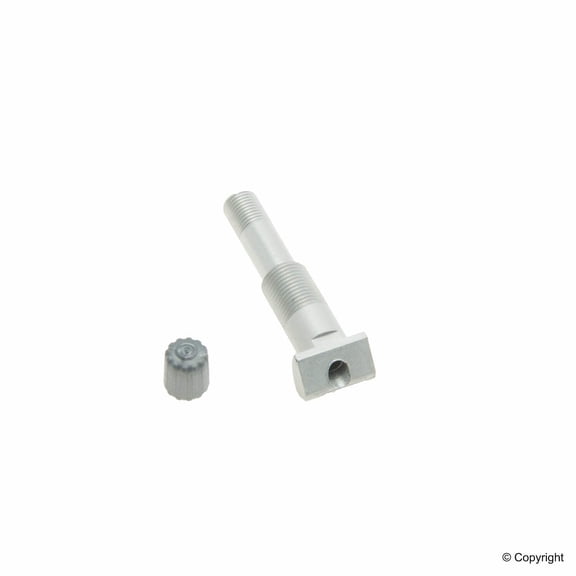 Tesla Model S, X Valve Stem Service Kit, 2014-2016