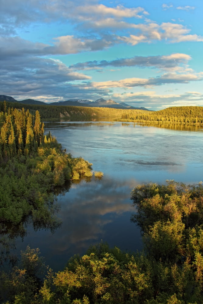 Teslin River Near Teslin Yukon Canvas Art - Robert Postma Design Pics (11 x 17)