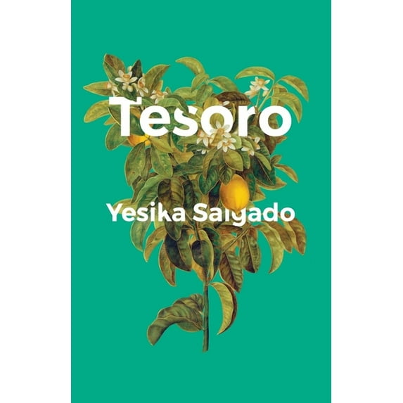 Tesoro, (Paperback)