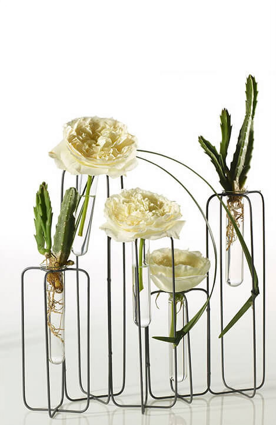 Test Tube Centerpiece 5 Tubes Skyline Stand Five Glass Test Tube Vases