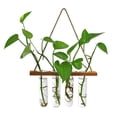 thumbnail image 1 of Test Tube Vase Flower Pot Hydroponic Plants Pots Creative Wall Hanging Terrariums Stand Bud Home Wooden Glass Planter, 1 of 10