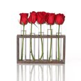 thumbnail image 1 of Test Tube Vase Planter Tabletop Wood Frame Glass Hydroponic Planter Terrarium Flower Display Pot Holder for Propagating Plants Home Office Decor 5 Tubes, 1 of 7