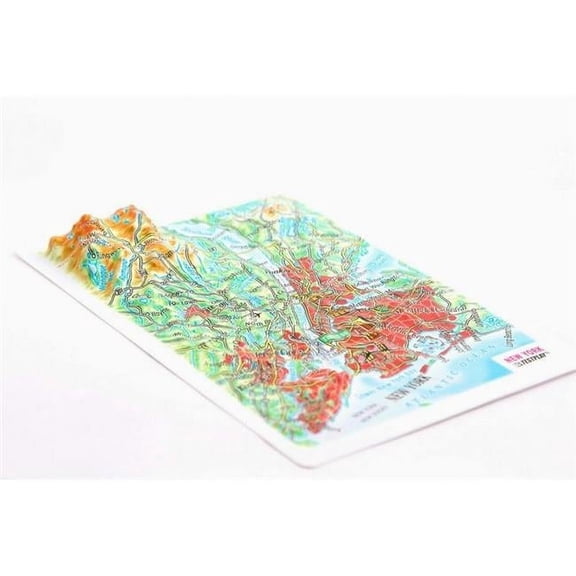 TestPlay 3371 New York City Raised Relief Map, Rubberized Foam Backing - Souvenir Size