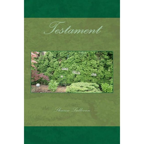 Testament (Paperback)