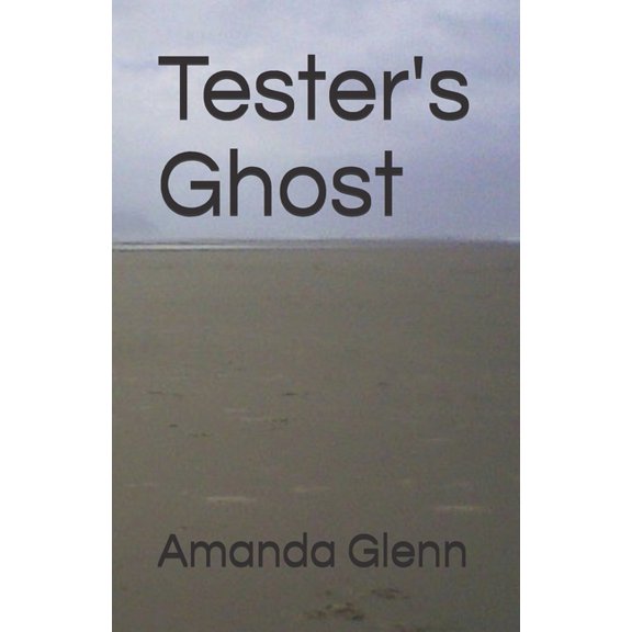 Teddy Books Tester's Ghost, Book 9, (Paperback)