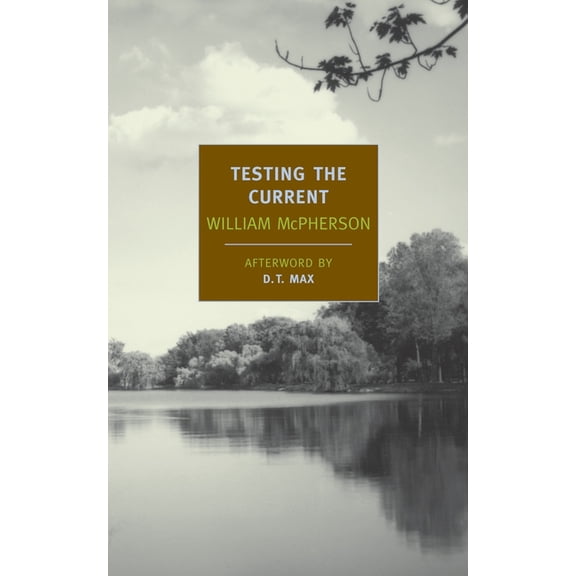 Testing the Current (Paperback)