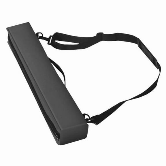 Testrite Visual Products Carry Bag For Light - Black