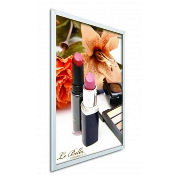 Testrite Visual Products Easy-Open SnapFrames 24 in. X 36 in. Easy Open Snap Frame-Silver