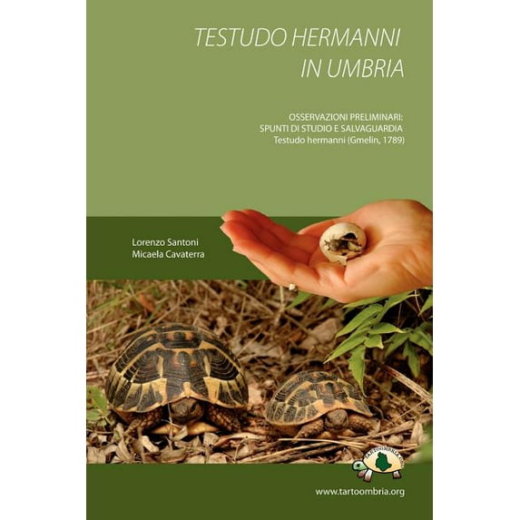 Testudo Hermanni in Umbria (Paperback)