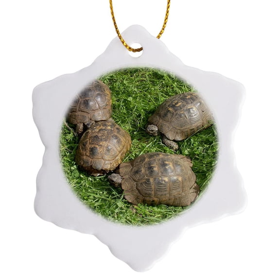 3drose, Testudo Iberia - Animals, Ibera Greek Tortoise, Land Turtles, Reptiles, Testudo Ibera, Tortoise, 3 inch Snowflake Porcelain Ornament