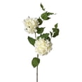 thumbnail image 1 of Teters Floral 35" Cream Hydrangea Stem, 1 of 1