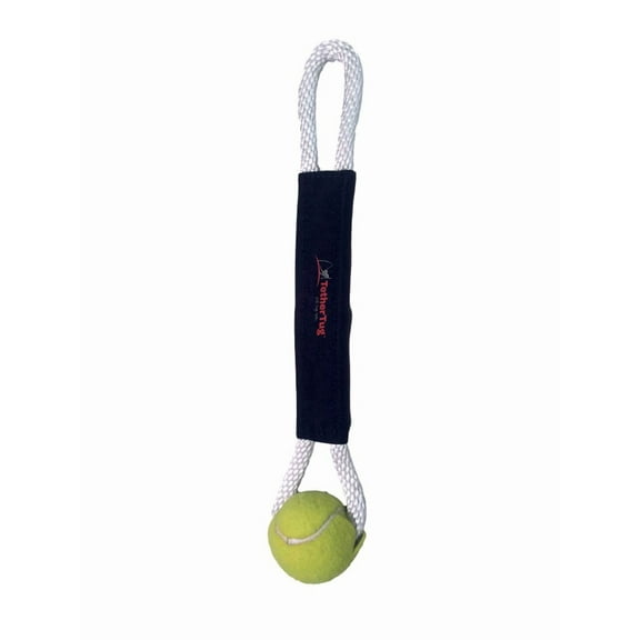 Ball Toy Plus Attachment