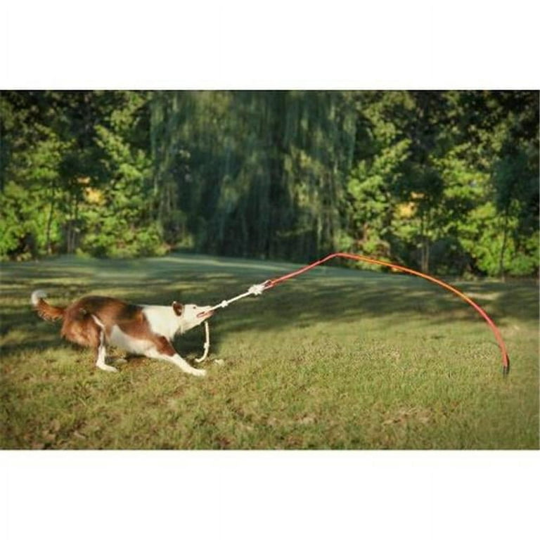 Tether Tug Tether Tug Dog Toy, Extra Large
