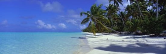 Tetiaroa Atoll French Polynesia Tahiti Canvas Art - Panoramic Images (36 x 12)