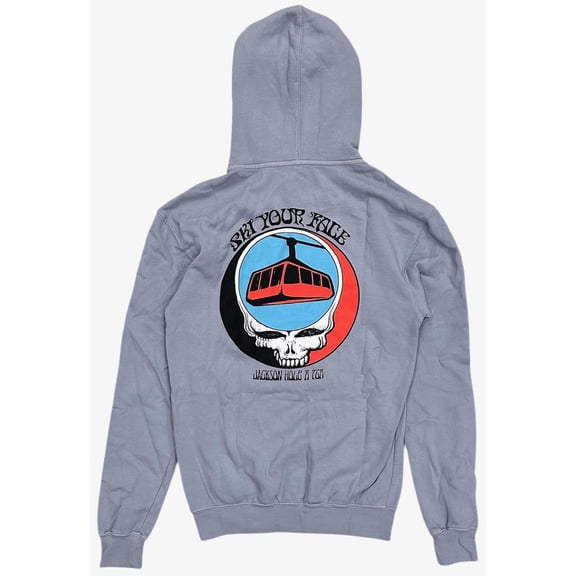 Teton Gravity Research Men's X Grateful Dead Jackson Hole Hoodie Sweatshirt (Small, Grey)