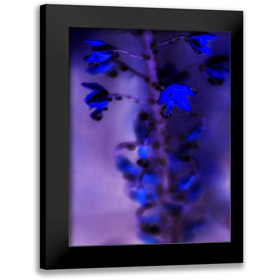 Teton Parchment 12x14 Black Modern Framed Museum Art Print Titled - Morning Rain III