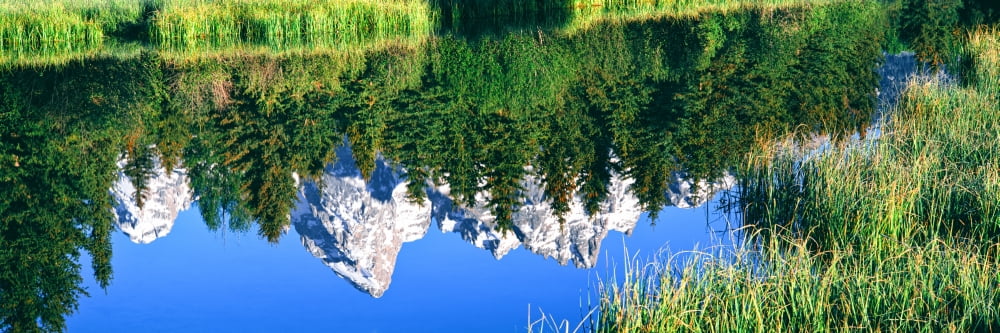 Teton Range reflected in Moose Ponds Grand Teton National Park Wyoming USA Canvas Art - Panoramic Images (12 x 36)