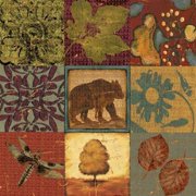 Teton Tapestry I Canvas Art - Jo Moulton 24 x 24
