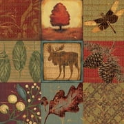 Teton Tapestry II Canvas Art - Jo Moulton 24 x 24