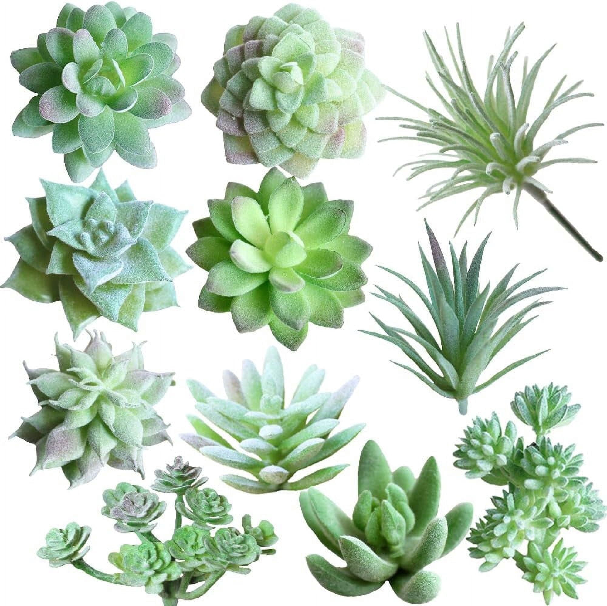 TETOU 11Pcs Mini Artificial Succulents Plants, Unpotted Faux Succulent Assortment Succulent, Faux Cactus Plant Bulk for DIY Indoor Outdoor Home Office Table Decor