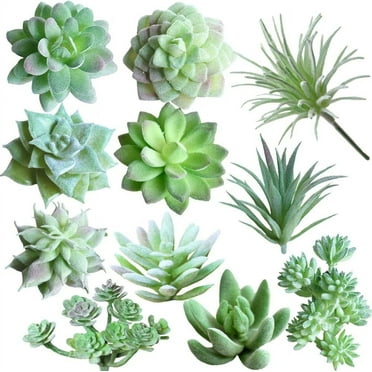 TETOU 11Pcs Mini Artificial Succulents Plants, Unpotted Faux Succulent Assortment Succulent, Faux Cactus Plant Bulk for DIY Indoor Outdoor Home Office Table Decor