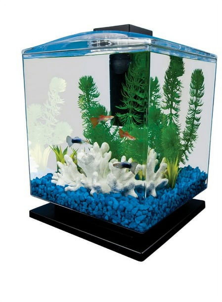 Tetra 1.5-Gallon Plastic Cube Aquarium Starter Kit, Plastic - image 1 of 7