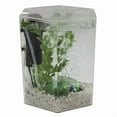 thumbnail image 1 of Tetra 1 Gallon Bubbling LED Aquarium Kit, Acrylic Hexagon Shape Fish Tank with Color-Changing Light, 1 of 6