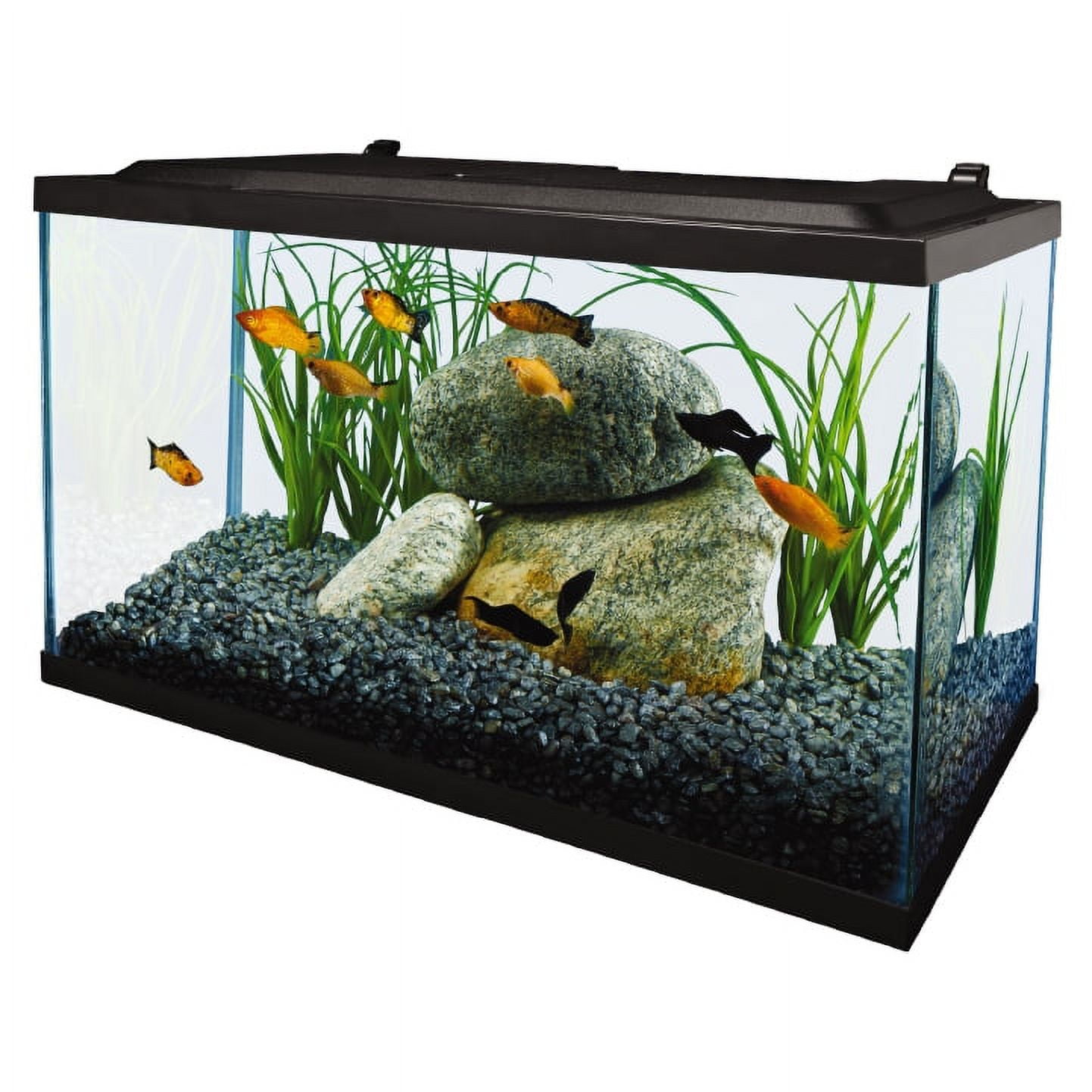 Tetra 10 Gallon Glass LED Aquarium Kit