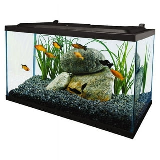 Aquarium 10 litres - Cdiscount