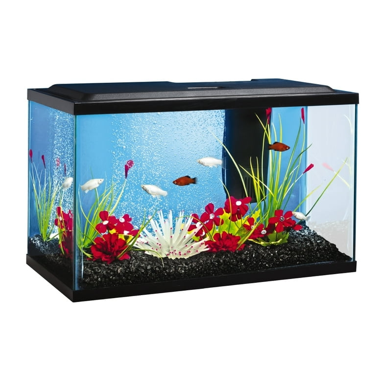 Tetra 10 gal Color Fusion Glass Bubbling Aquarium Starter Kit with LED Walmart
