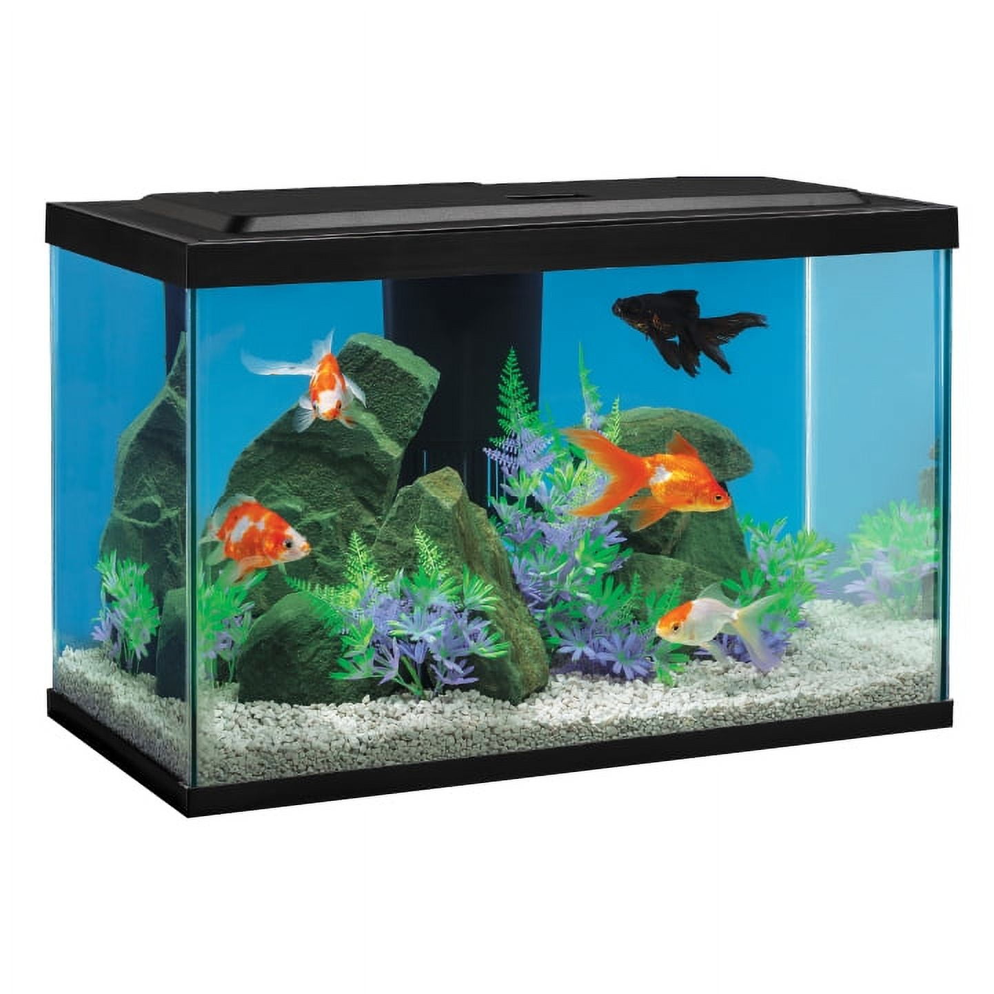 Tetra 20 Gal Goldfish LED Aquarium Kit