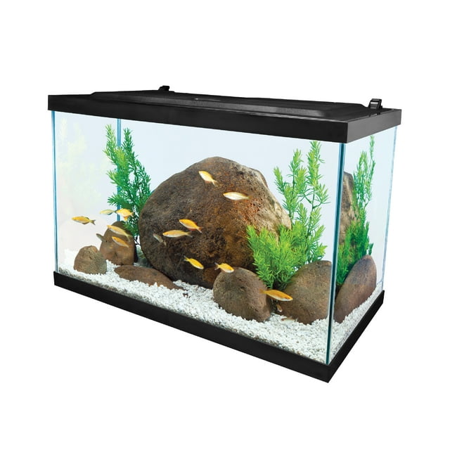 Tetra 20 Gallon Glass LED Aquarium Kit - Walmart.com