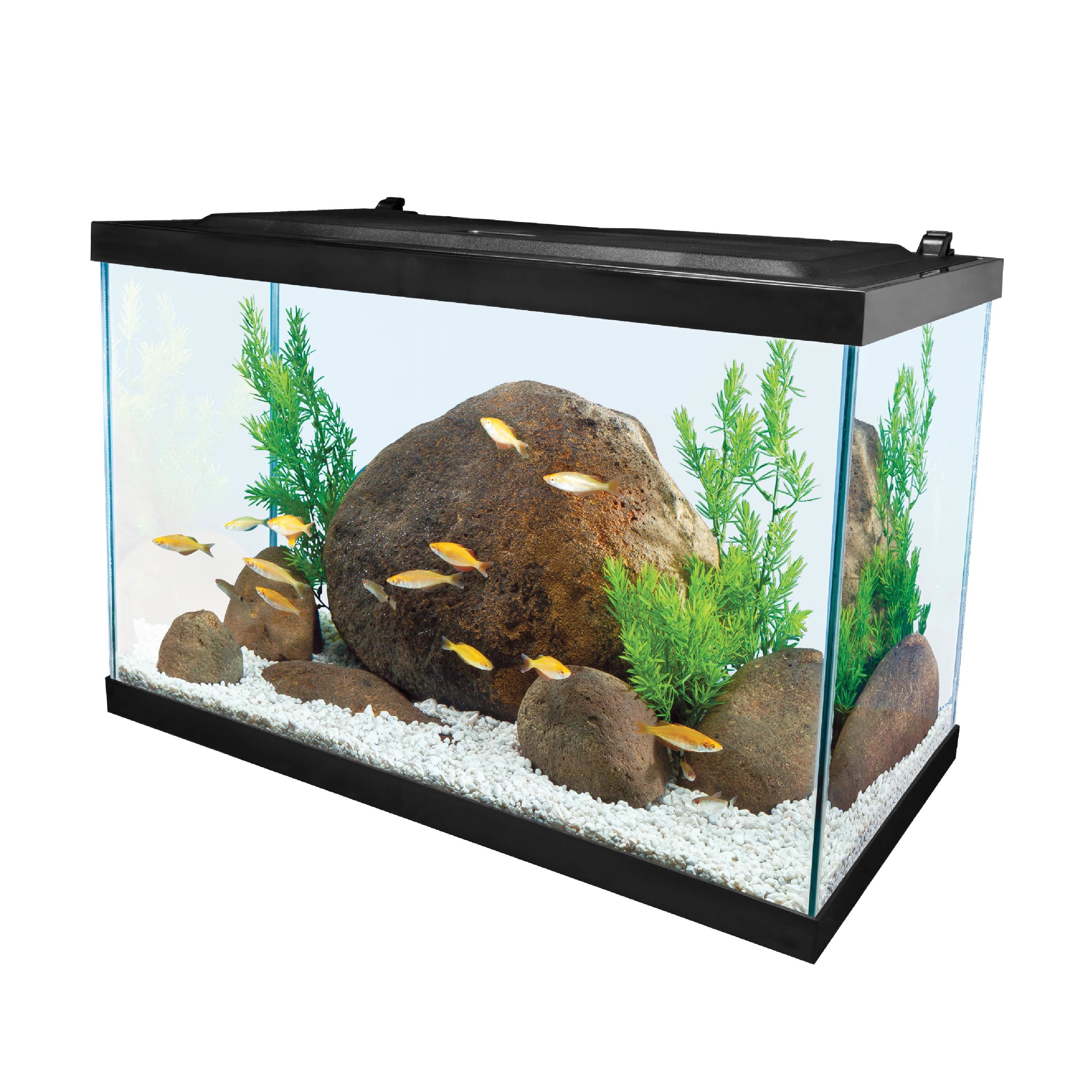 Free Shipping Tetra 20 Gallon Glass LED Aquarium Kit Walmart