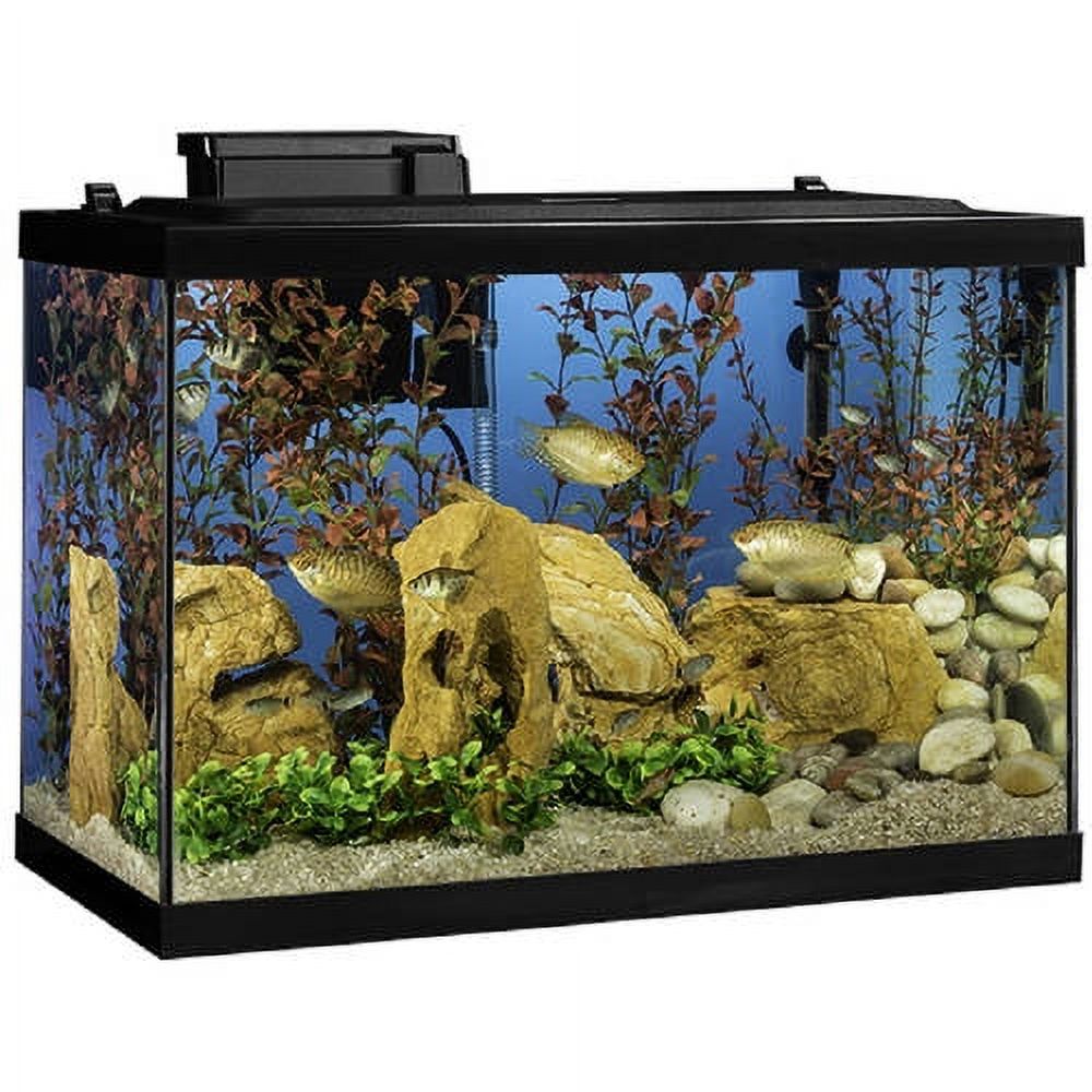 Tetra 20-Gallon LED Glass Aquarium Starter Kit with Filter, Heater & Plants - image 1 of 4