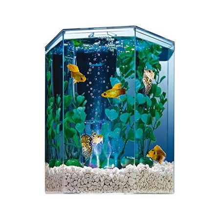 Tetra Bubbling LED Aquarium Kit 1 Gallon, Hexagon Shape, With Color-Changing Light Disc