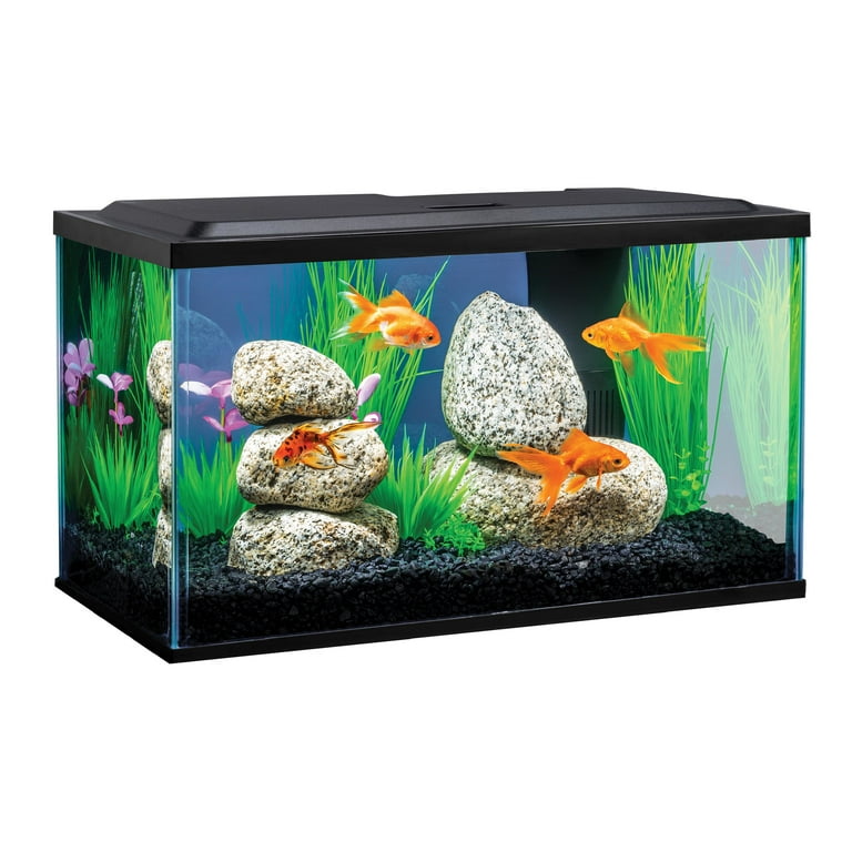 Tetra Goldfish 10 Gallon LED Aquarium Kit Fish Tank Starter with