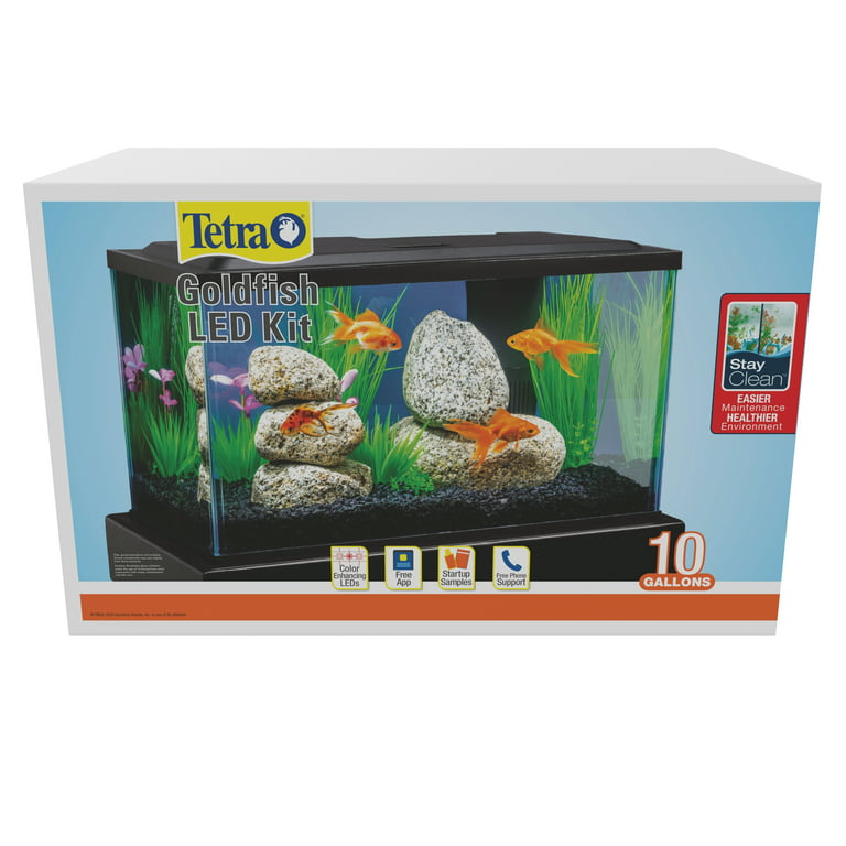 Tetra Goldfish Glass LED Kit, 10 Gallon, Aquarium Kit with LED Lighting and  Filter 