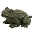 thumbnail image 1 of Tetra Pond 19744 Small Frog Spitter, 1 of 3