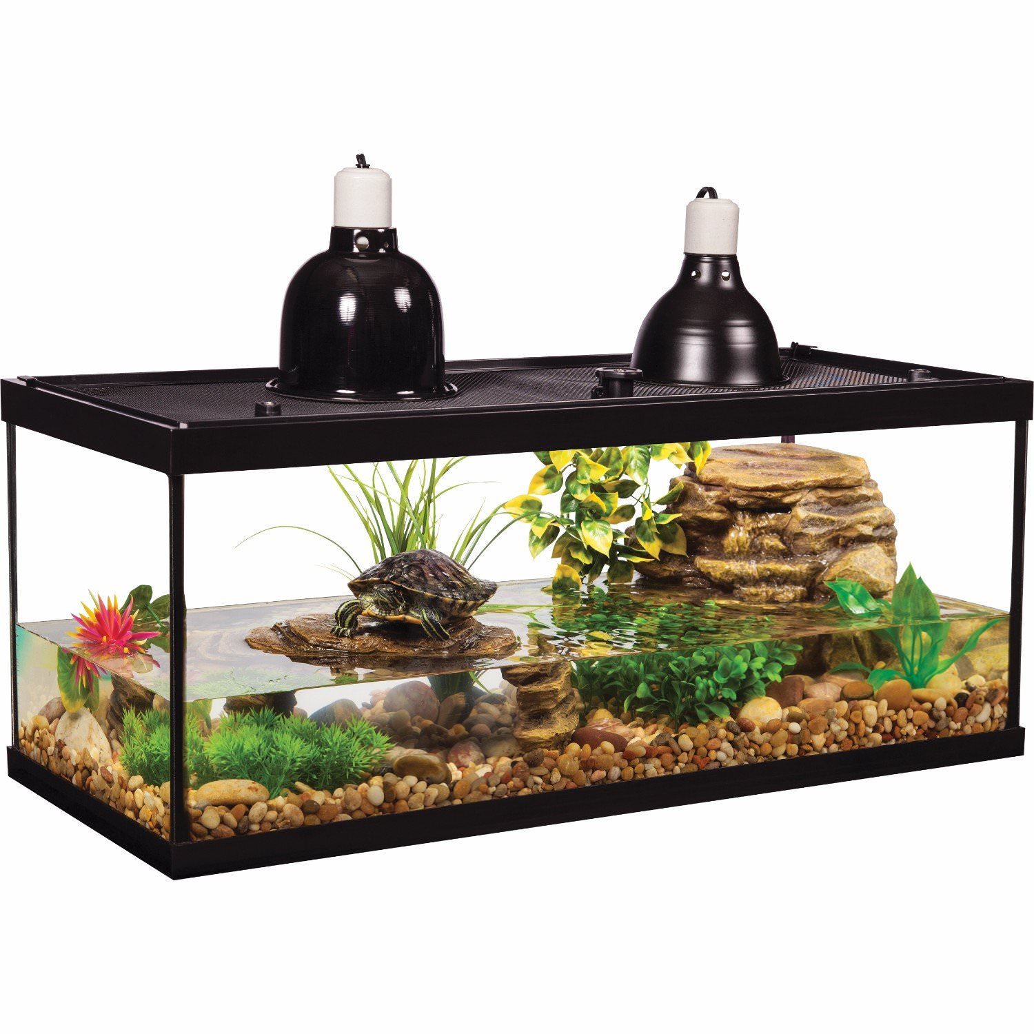 Tetra Tetrafauna 20-Gallon Deluxe Aquatic Turtle Tank Kit
