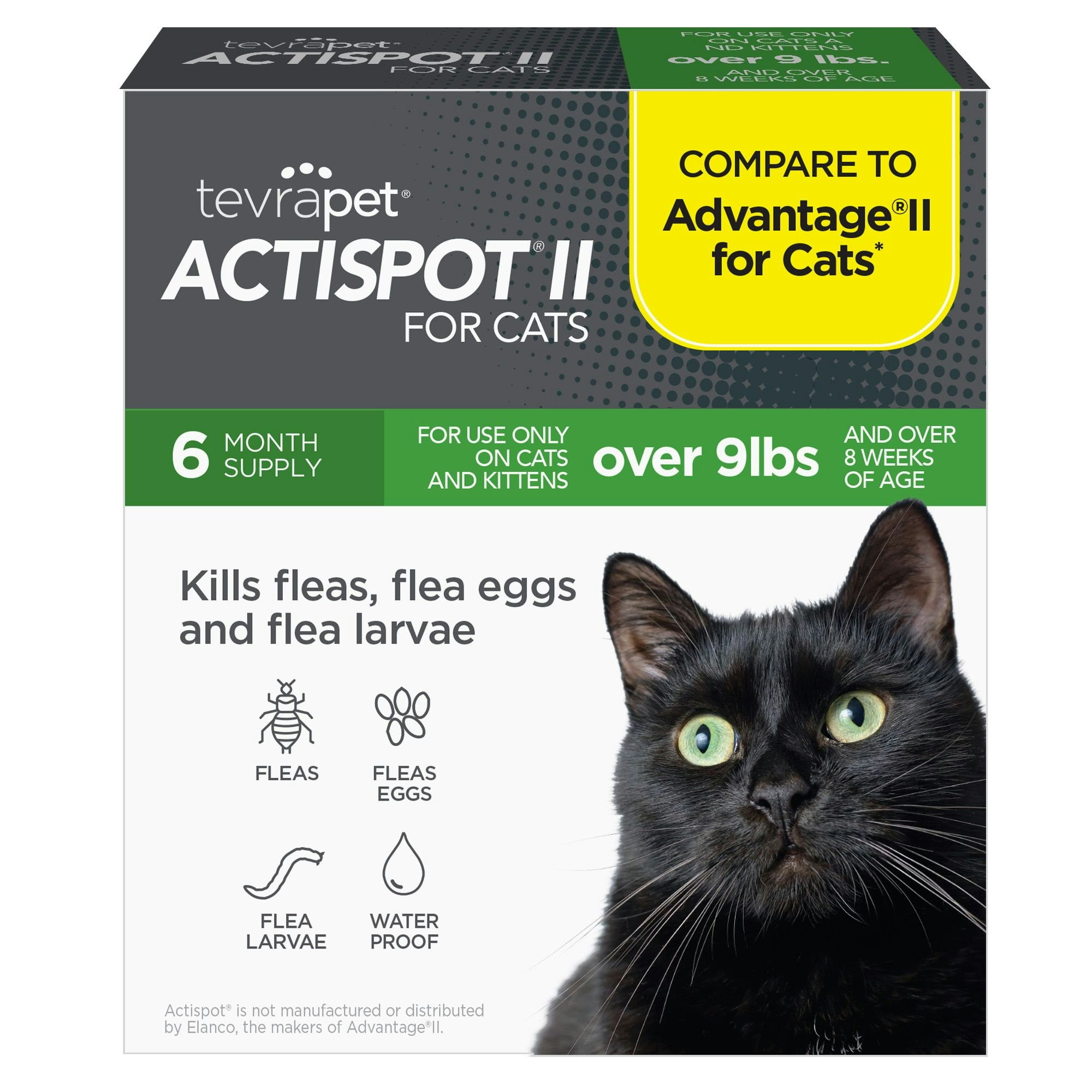 Activyl Tick Activyl For Dogs Reviews Topical Flea Activyl Spot On